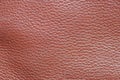 Leather texture Royalty Free Stock Photo