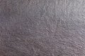 Leather texture Royalty Free Stock Photo