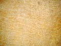 Leather Texture Royalty Free Stock Photo