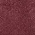 Leather texture Royalty Free Stock Photo