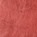 Leather texture Royalty Free Stock Photo