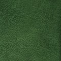 Leather texture Royalty Free Stock Photo