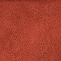 Leather texture Royalty Free Stock Photo