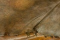 Leather texture detail background