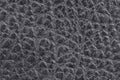 Leather texture, empty grunge background. Rough structure, dark surface