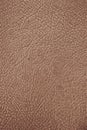 Leather texture. Expensive, manufacturing. Royalty Free Stock Photo