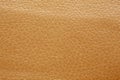 Leather texture in masterly brown tone. Royalty Free Stock Photo