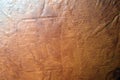 Leather texture material pattern background. Luxury textured brown skin textile clothing