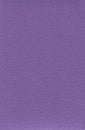 leather texture, purple leather, pimply background Royalty Free Stock Photo