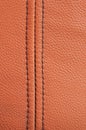 Leather texture with selvage