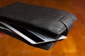 Leather wallet Royalty Free Stock Photo