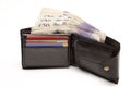 Leather wallet with cash Royalty Free Stock Photo