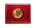 Leather wallet with golden bitcoin coin. Royalty Free Stock Photo