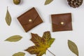 Leather wallets and dry autumn leaves on a white background, top view Royalty Free Stock Photo
