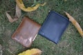 Leather wallets on the grass Royalty Free Stock Photo