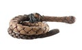 Leather Whip Royalty Free Stock Photo