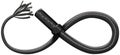 Leather whip bent into infinity shape, isolated Royalty Free Stock Photo