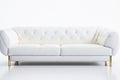 Leather white luxurious sofa couch white background. ai generative Royalty Free Stock Photo