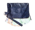 Leather wristlet pouch with many euros isolated