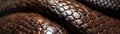 Leatherbound gift, snake pattern, soft morning light, close view, luxurious texture , hyper realistic