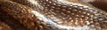 Leatherbound gift, snake pattern, soft morning light, close view, luxurious texture , hyper realistic