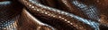 Leatherbound gift, snake pattern, soft morning light, close view, luxurious texture , hyper realistic Royalty Free Stock Photo