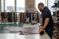 Leatherworker unrolls rolls of leather in workshop. Royalty Free Stock Photo