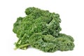 Leave of kale cabbage Royalty Free Stock Photo