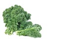 Leave of kale cabbage Royalty Free Stock Photo