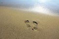 Leave Nothing But Footprints Royalty Free Stock Photo