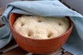 Leavened dough in a clay bowl Royalty Free Stock Photo