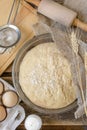 Leavened yeast dough ready for use for bread, pizza, pies