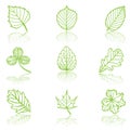 Leaves Royalty Free Stock Photo