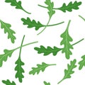 Leaves of arugula seamless pattern. Green leaves on a white background.