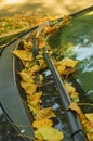 Leaves in autumn on a car Royalty Free Stock Photo