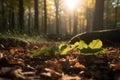 Leaves autumn forest sun. Generate Ai Royalty Free Stock Photo