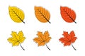 Leaves. Autumn leaf vector icons. Leaves maple. Leaf different color. Autumn leaves maple. Vector illustration Royalty Free Stock Photo