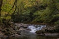 Leaves Begin to Change Over Rushing Creek Royalty Free Stock Photo