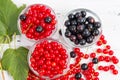 Leaves and berries of black and red currant Royalty Free Stock Photo