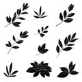 Leaves, black silhouettes Royalty Free Stock Photo