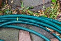 Plant debris next to a hosepipe in a garden