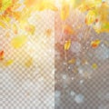 Autumn concept template with copy space. EPS 10 vector Royalty Free Stock Photo