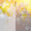 Autumn concept template with copy space. EPS 10 vector Royalty Free Stock Photo