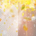 Autumn concept template with copy space. EPS 10 vector Royalty Free Stock Photo