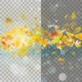 Autumn concept template with copy space. EPS 10 vector Royalty Free Stock Photo