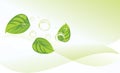 Leaves and bubbles on the abstract background Royalty Free Stock Photo
