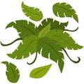 Leaves bushes vector clipart