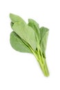 Leaves of collards on background