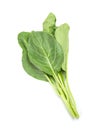 Leaves of collards on background