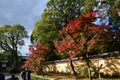 Kinkakuji Leaves color change Japan